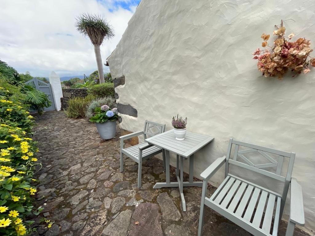 Casas La Principal Pensionat San Pedro  Eksteriør billede
