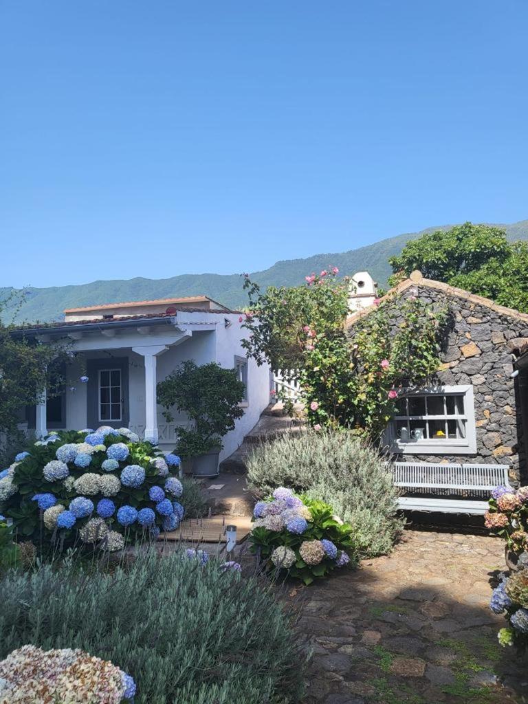 Casas La Principal Pensionat San Pedro  Eksteriør billede