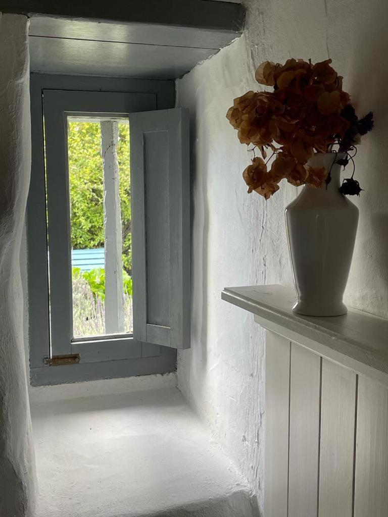 Casas La Principal Pensionat San Pedro  Eksteriør billede
