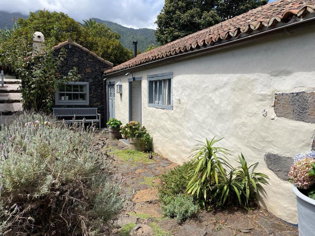 Casas La Principal Pensionat San Pedro  Værelse billede