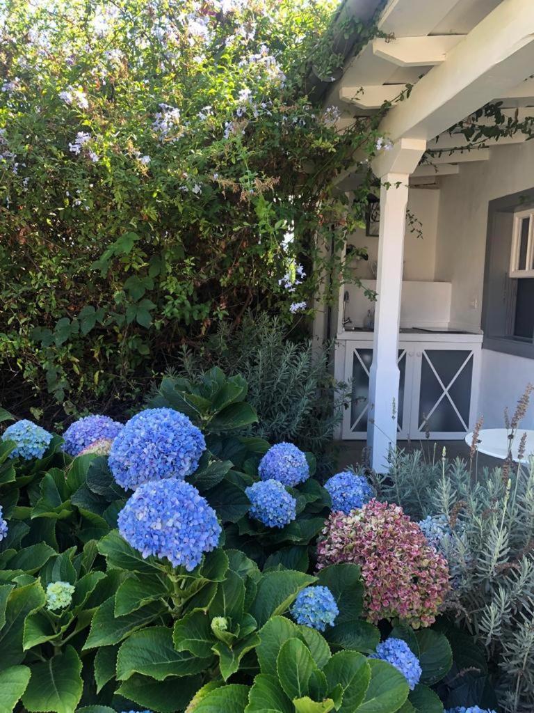 Casas La Principal Pensionat San Pedro  Værelse billede