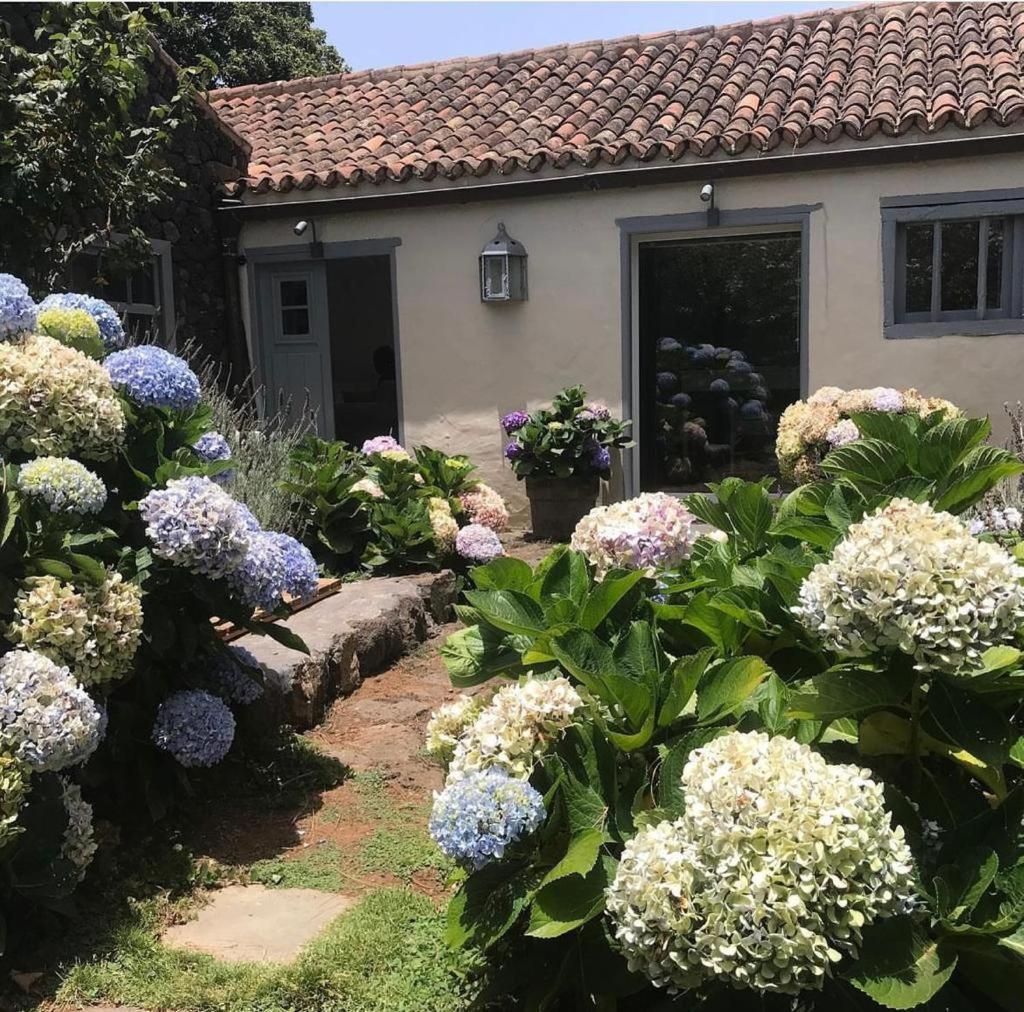 Casas La Principal Pensionat San Pedro  Eksteriør billede